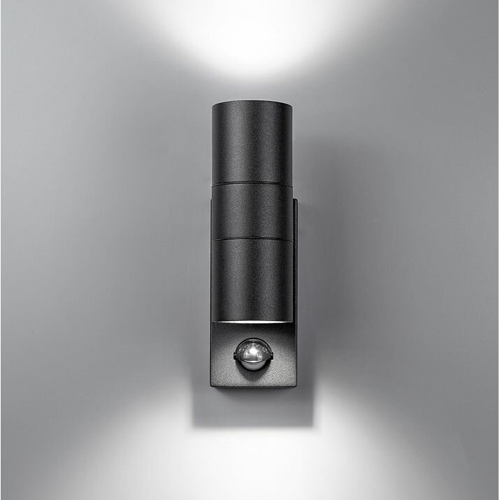 Светильник уличный настенный с детектором движения и освещения Arte Lamp Mistero A3322AL-2BK