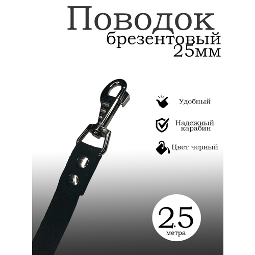 Поводок для собак, 25 мм, цвет черный, брезентовый, длина 2.5 метра