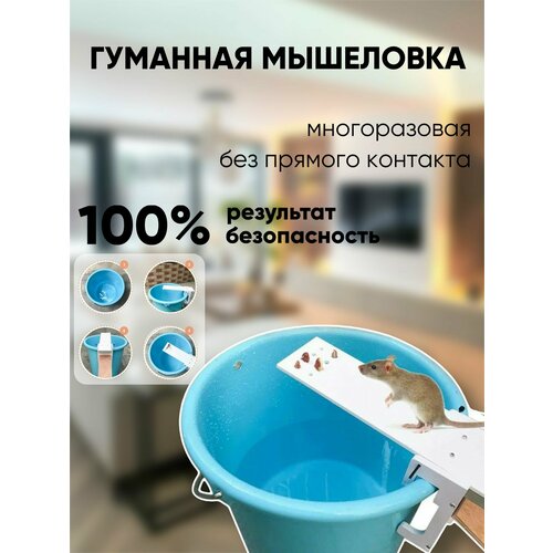 Гуманная мышеловка для мышей