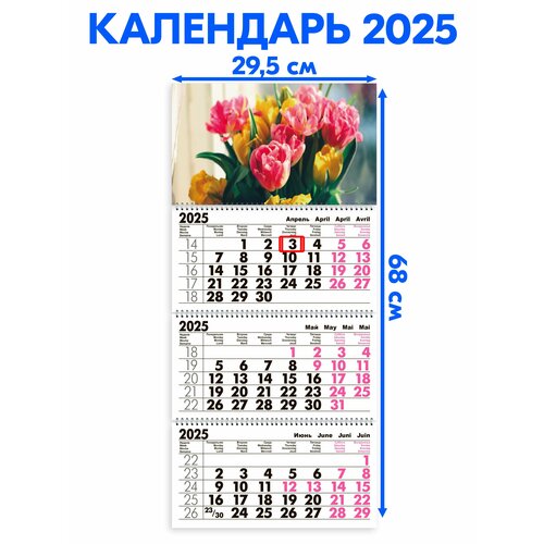 Календарь 2025 настенный трехблочный Тюльпаны. Длина календаря в развёрнутом виде -68 см, ширина - 29,5 см.