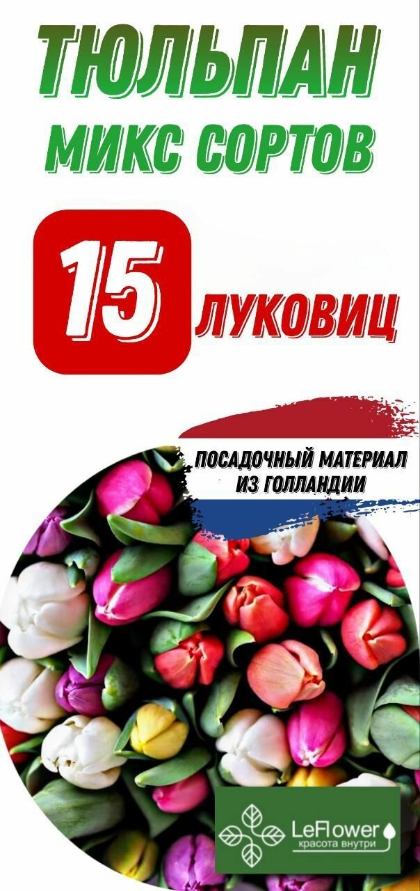 Тюльпан Луковица Микс сортов 15шт