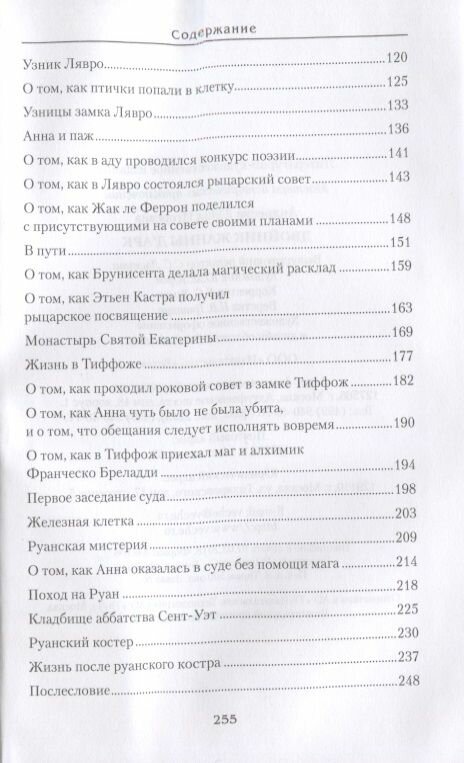 Двойник Жанны д'Арк (Андреева Юлия Игоревна) - фото №4