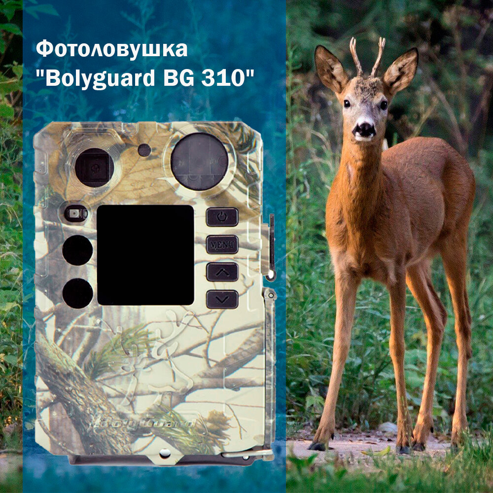 Фотоловушка "Bolyguard BG 310" для охоты, охраны дома или дачи