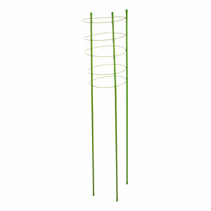 Основная фотография от вендора