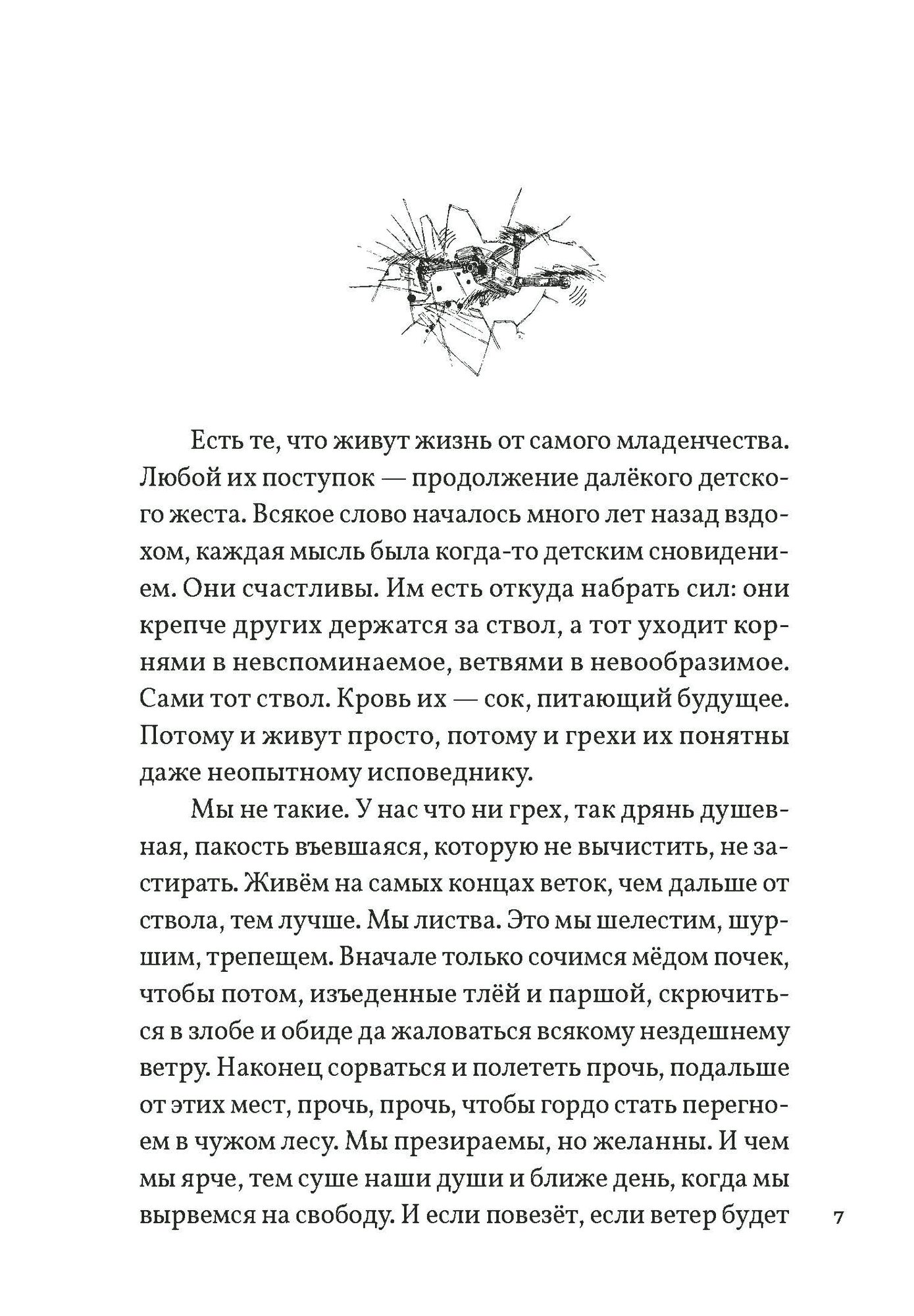 Время рискованного земледелия (Орлов Даниэль) - фото №8