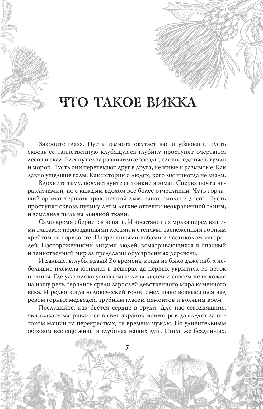 Викка. Ключ к природной магии (Дементьев Александр Алексеевич) - фото №10