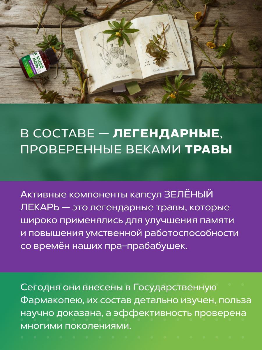 Изображение Фитокомплекс с гинкго билоба и готу кола ноотроп для мозга и памяти