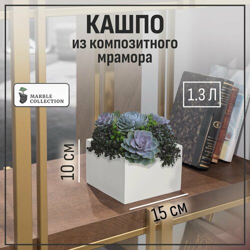 Кашпо квадратное для суккулентов и кактусов, горшок для цветов, Слоновая кость