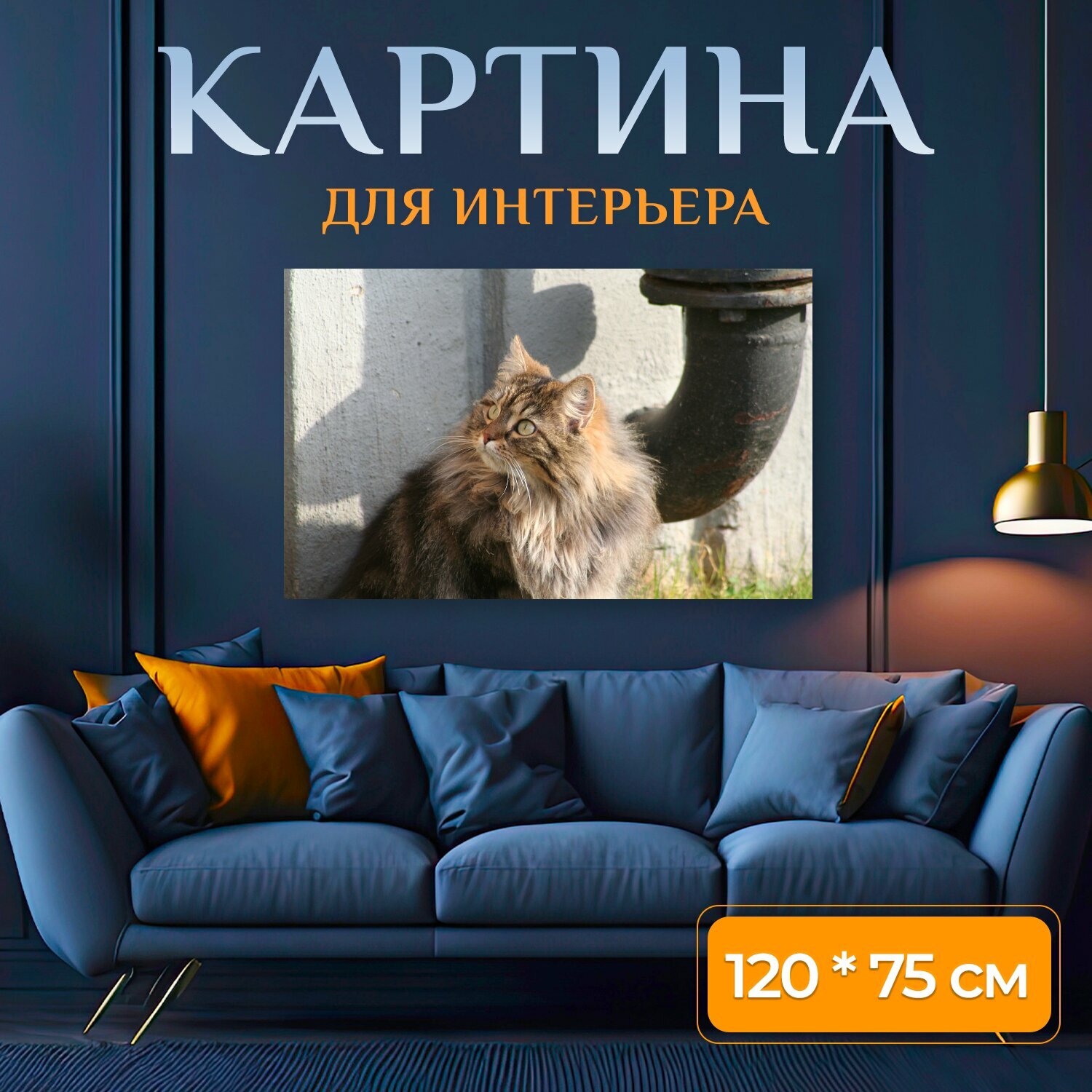 Картина на холсте "Кошка, животные, главный кун" на подрамнике 120х75 см. для интерьера