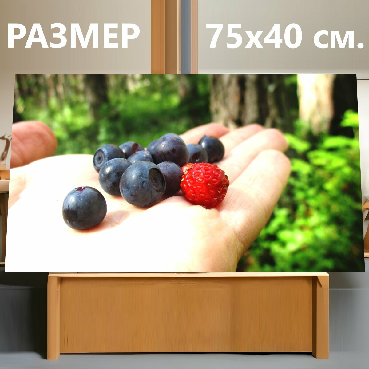 Картина на холсте "Черника, клубника, ягоды" на подрамнике 75х40 см. для интерьера