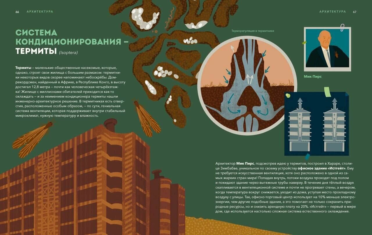 Дикие изобретения. 40 технологий, подаренных нам природой - фото №7