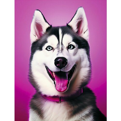 Алмазная мозаика. Картина стразами на подрамнике (размер 40х50 см, полная выкладка, круглые стразы) Собака