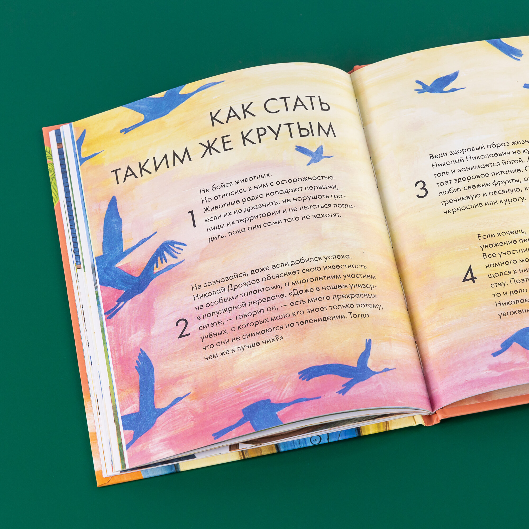 Чему я могу научиться у Николая Дроздова - фото №11