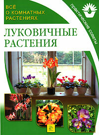 Все о комнатных растениях. Луковичные растения
