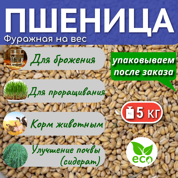 Пшеница для брожения, самогона, на корм скоту , проращивание, витграсс - 5 кг