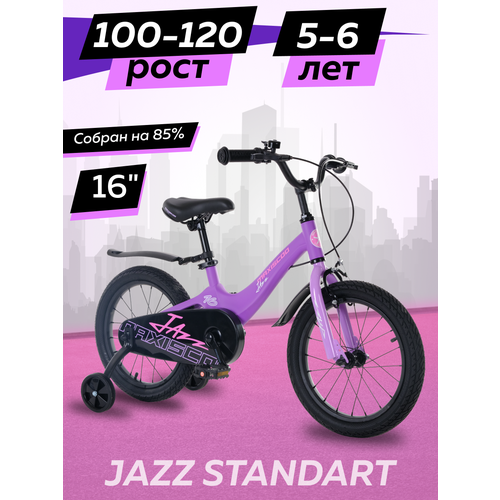 Велосипед Maxiscoo JAZZ Стандарт 16 2024 Z-MSC-J1633 16563₽