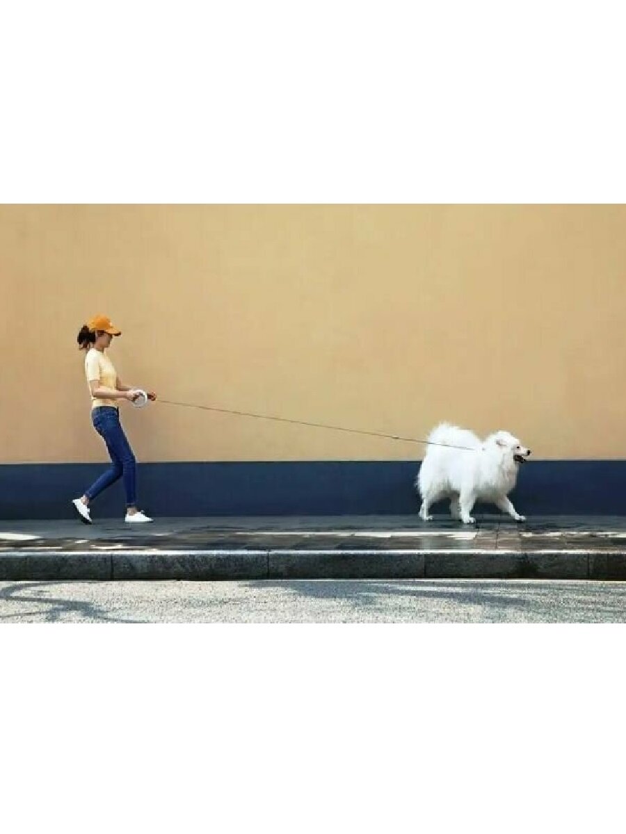 Поводки Для Животных Xiaomi Поводок Moestar Ufo Pet Leash 2 Air черный