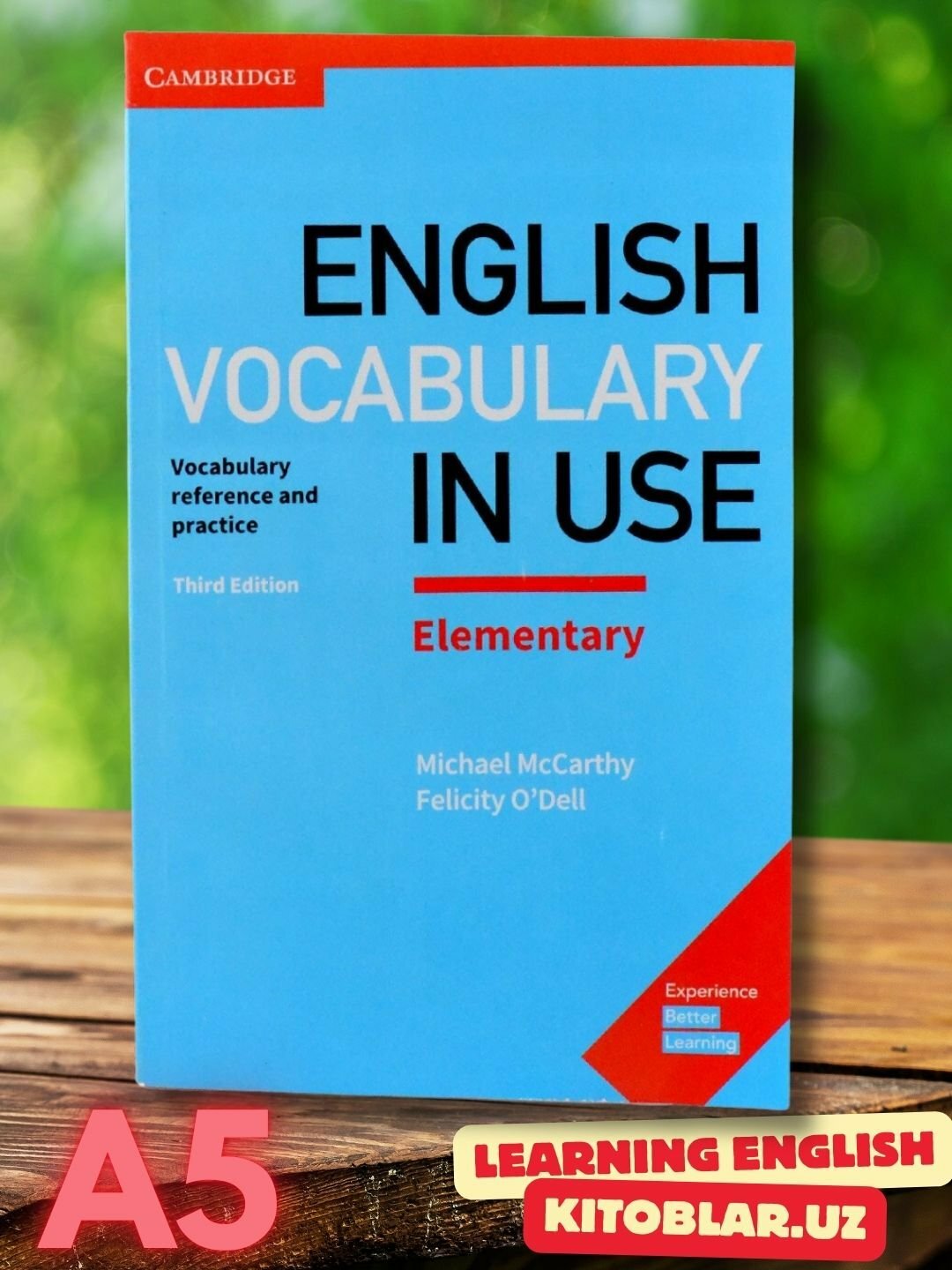 English Vocabulary in Use Elementary