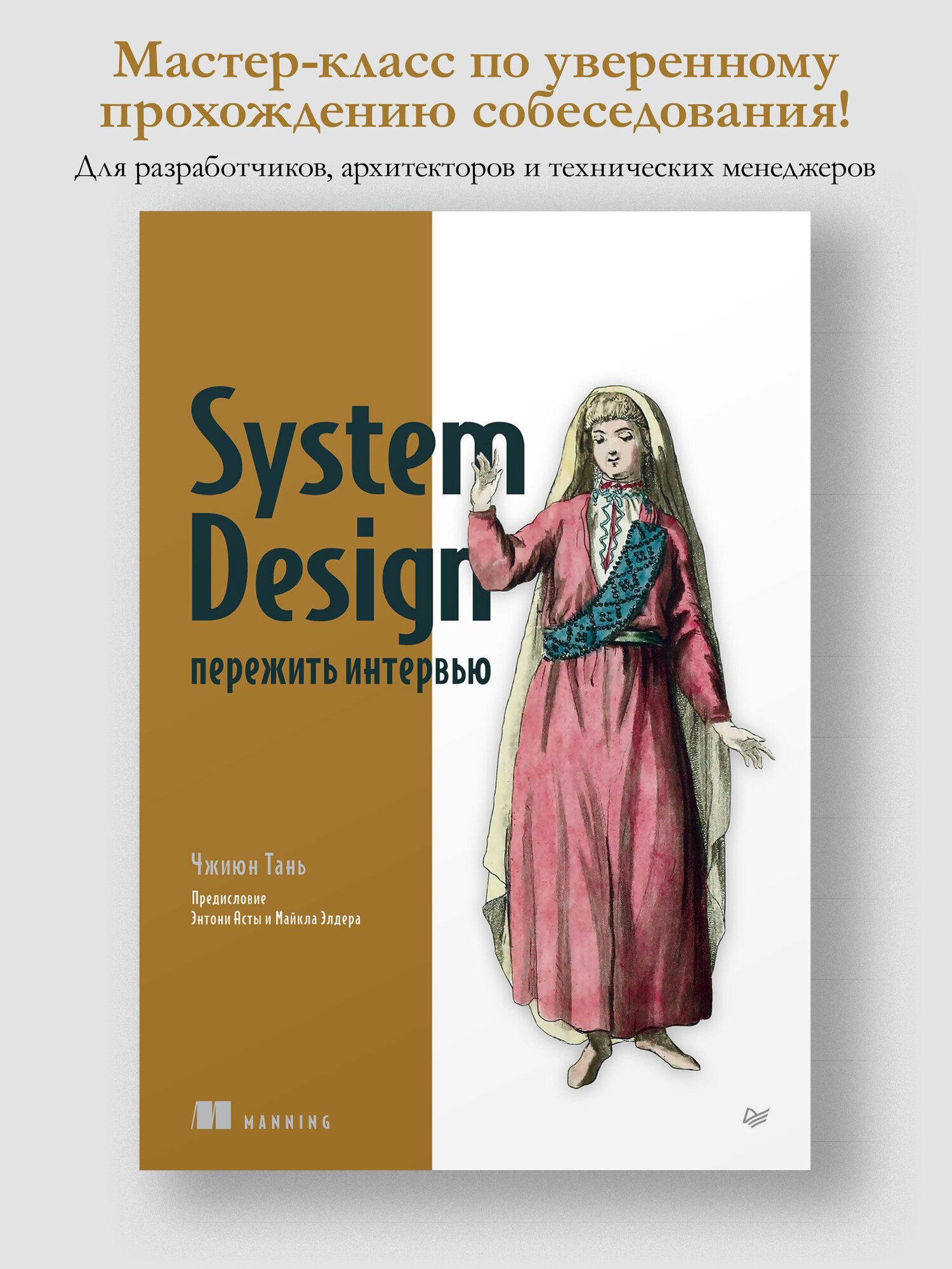 System Design  пережить интервью   книг по карьере в IT   программирование и разработка
