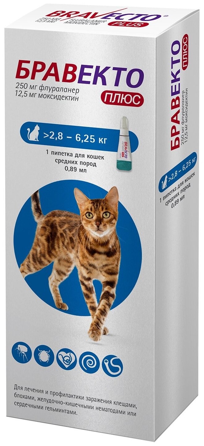 MSD Animal Health раствор от блох и клещей Бравекто Плюс для средних пород для кошек от 2.8 до 6.25 кг 1 уп.