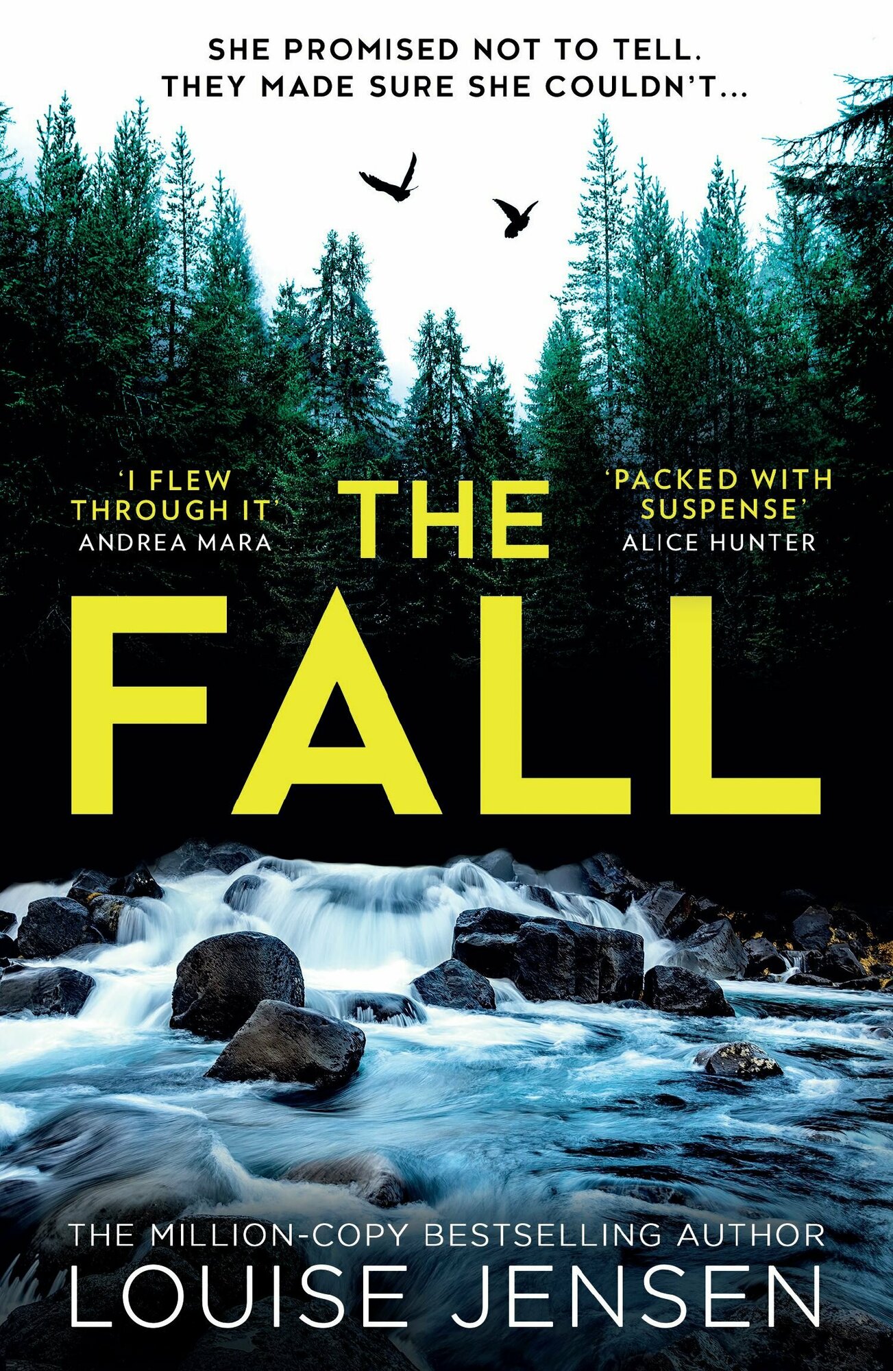 The Fall (Jensen Louise) - фото №1