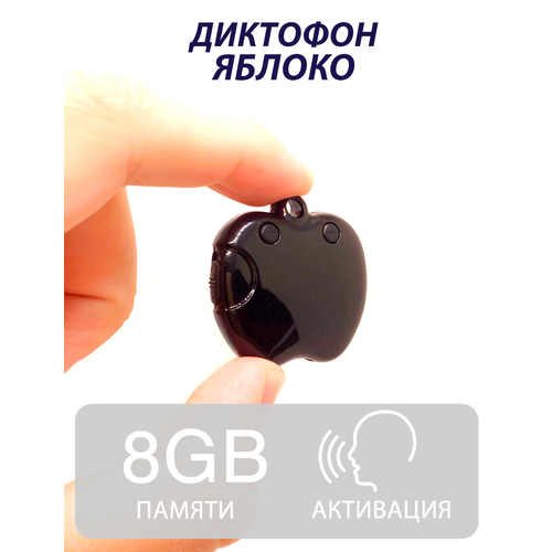Кулон-диктофон в форме Яблока 8 ГБ 499000₽