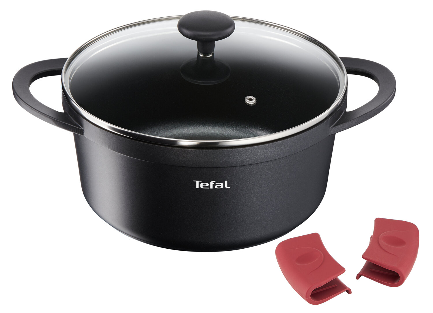 Кастрюля со стеклянной крышкой и силиконовыми ручками Tefal Pro Cook 24 см E2184675