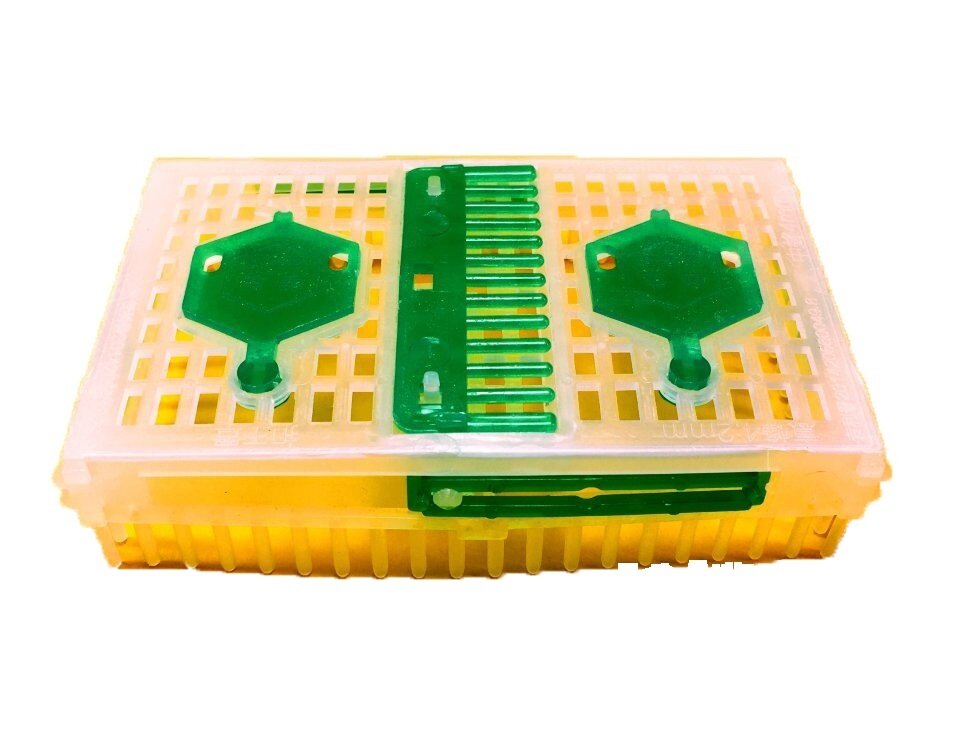 Колпачок для подсадки маток многофункциональный 5шт