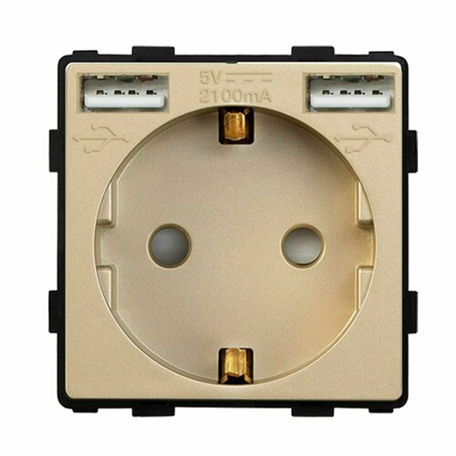Механизм розетки (без рамки) с Usb АА, цвет золотой