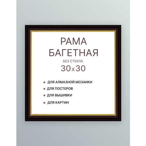 Багетная рама для картин 30х30 для картин по номерам на подрамнике холсте 30 на 30 вышивки рисунка алмазной мозаики