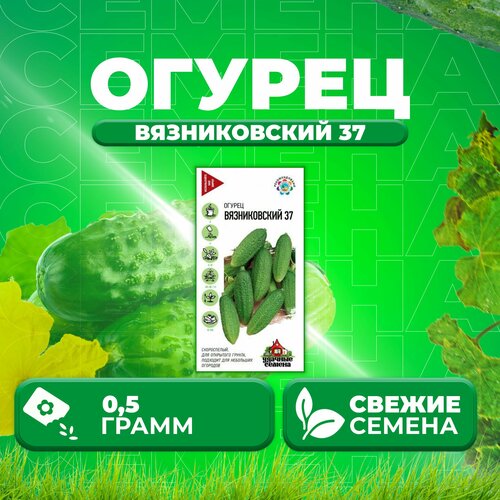 Огурец Вязниковский 37, 0,5г, Удачные семена (1 уп)