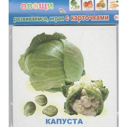 Обучающие карточки. Овощи обучающие карточки овощи на армянском языке