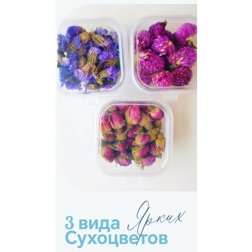 Сухоцветы для свечей и мыла 3 вида