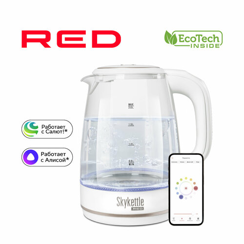 Чайник RED solution RK-G203S 399900₽