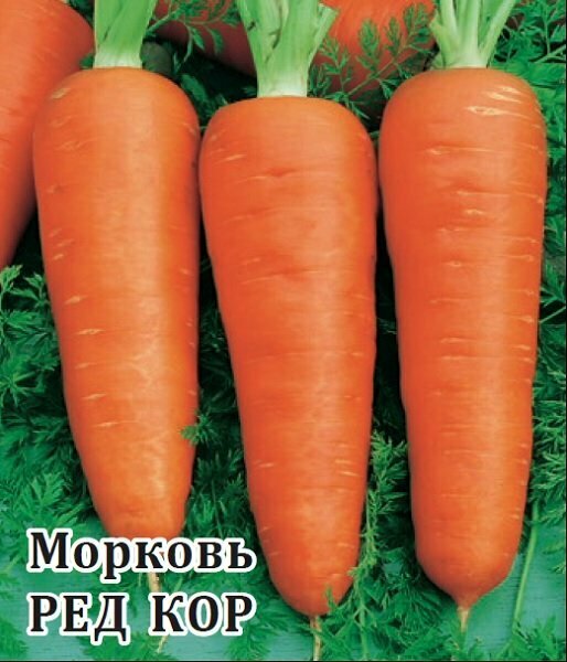 Семена Морковь Ред Кор 100г Гавриш Фермерское подворье