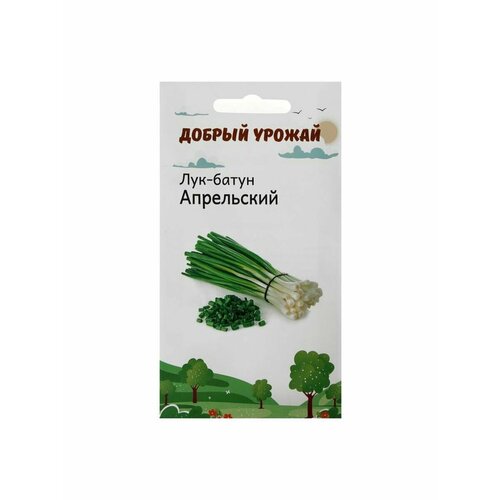 5 упаковок Семена Лук батун Апрельский 0,2 гр