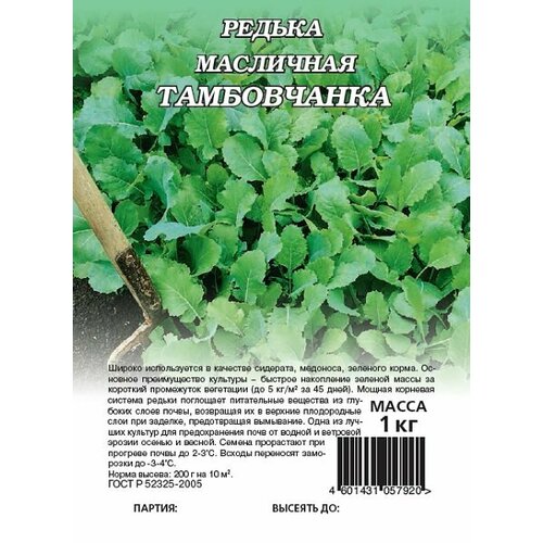 Семена Редька масличная Тамбовчанка, 1,0кг, Гавриш аэлита семена редька масличная тамбовчанка 400 г 00 00590467