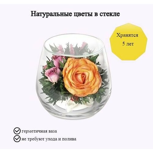 Композиция из натуральных цветов в стекле Fiora 8х85 см 4200₽