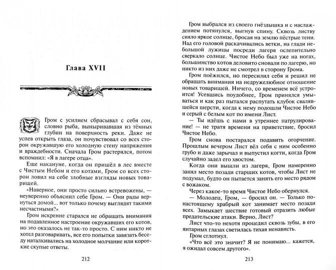 Книга Юность Грома (Хантер Эрин) - фото №6