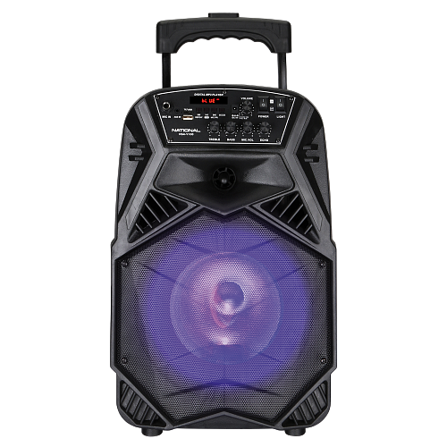 Аудиосистема National NSM V100