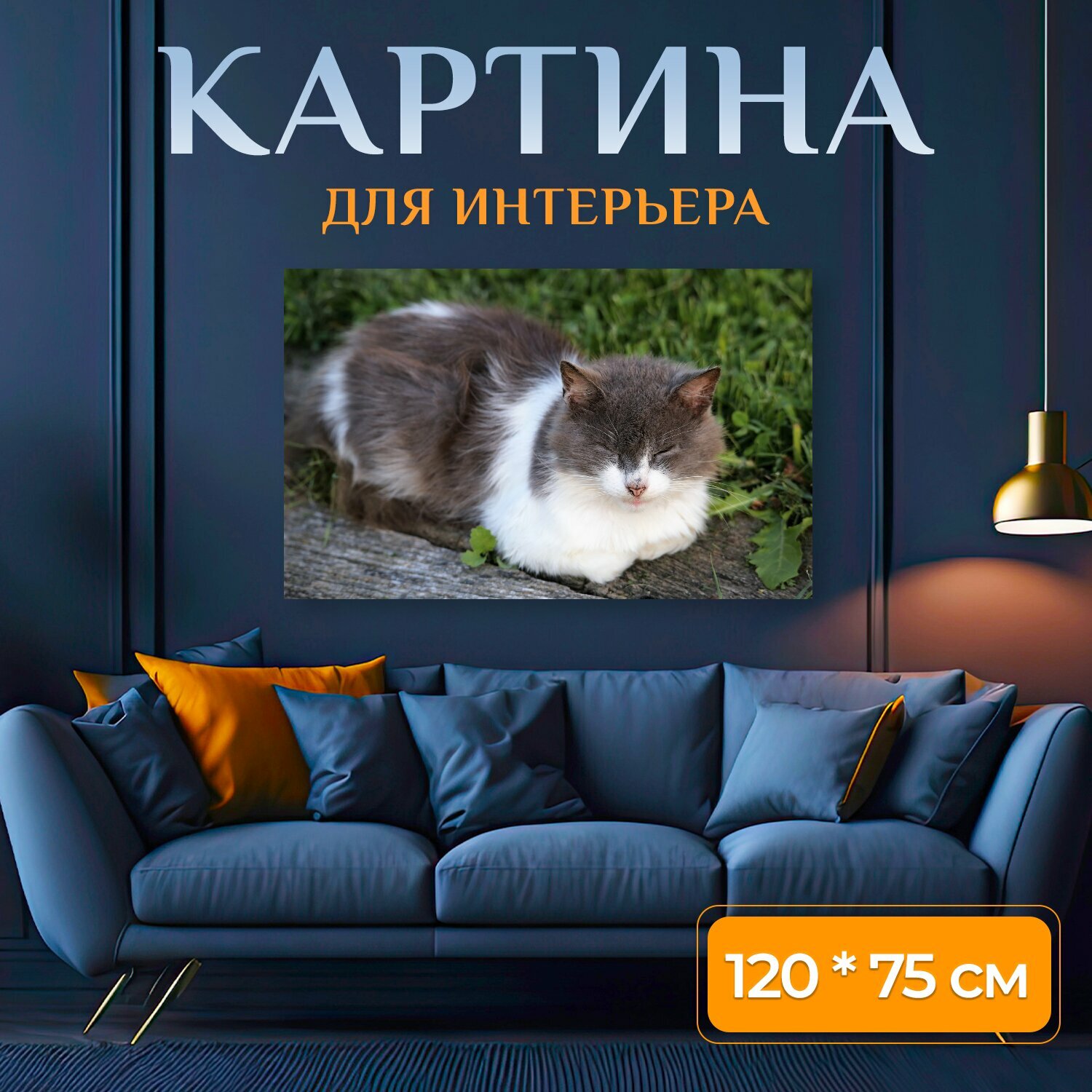 Картина на холсте "Кошка котенок одомашненный" на подрамнике 120х75 см. для интерьера