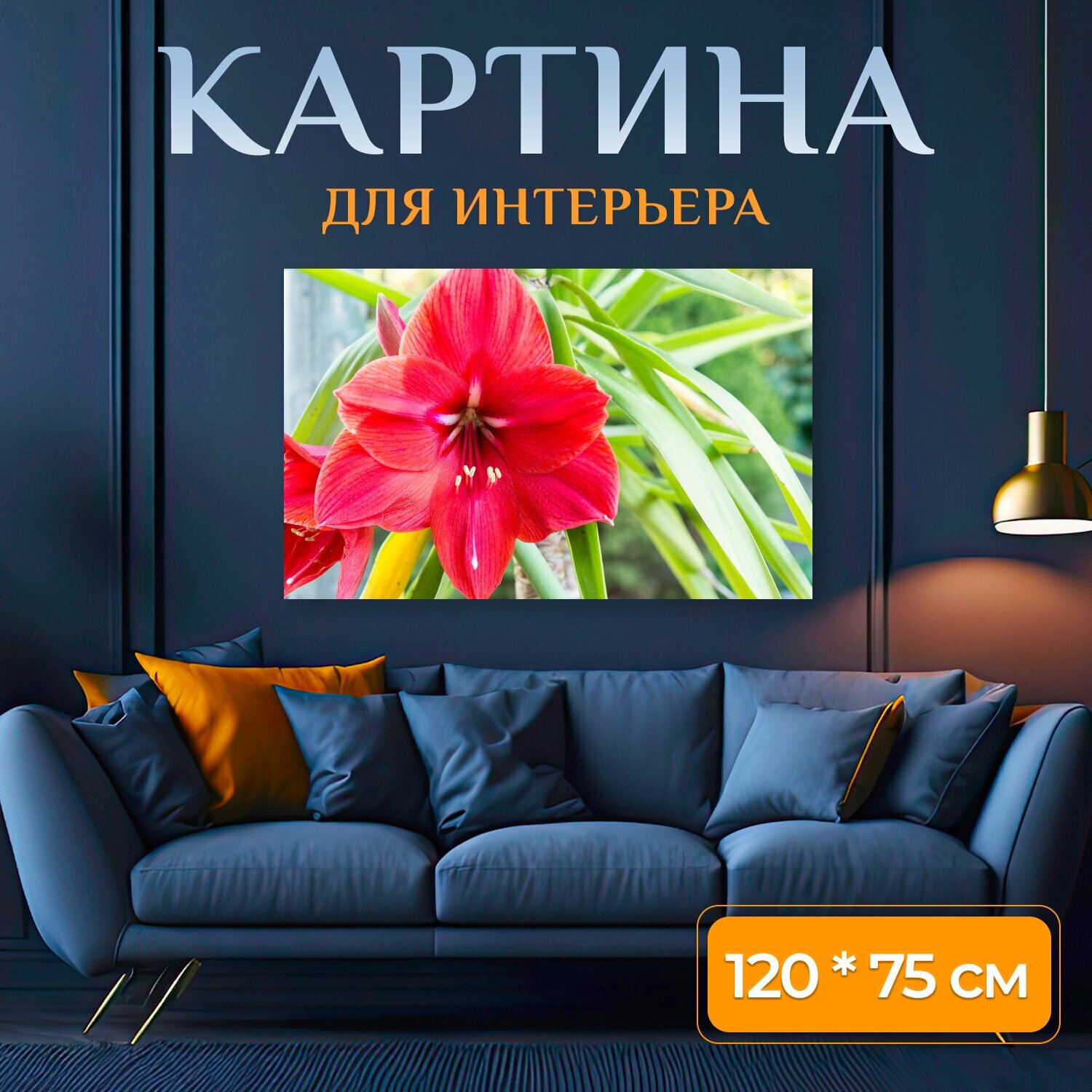 Картина на холсте "Амариллис, красный, цвести" на подрамнике 120х75 см. для интерьера