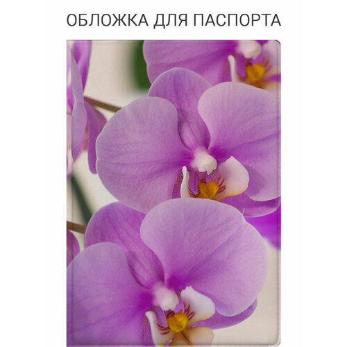 фото Обложка для паспорта slvgo, голубой, розовый, белый