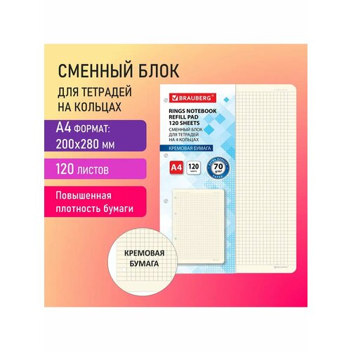 Сменный блок для тетради на кольцах А4 120 л, кремовый, 2 шт