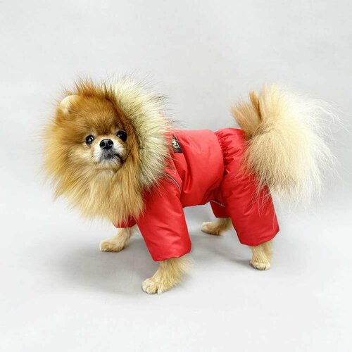 Комбинезон, одежда для собак мелких и средних пород, пуховик для животных (девочек) Аляска