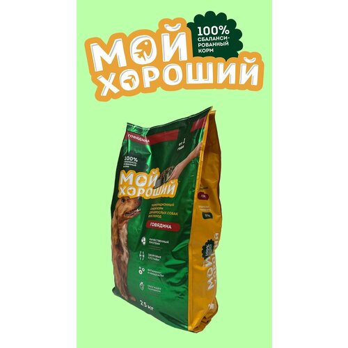 Корм сухой полнорационный, сбалансированный 