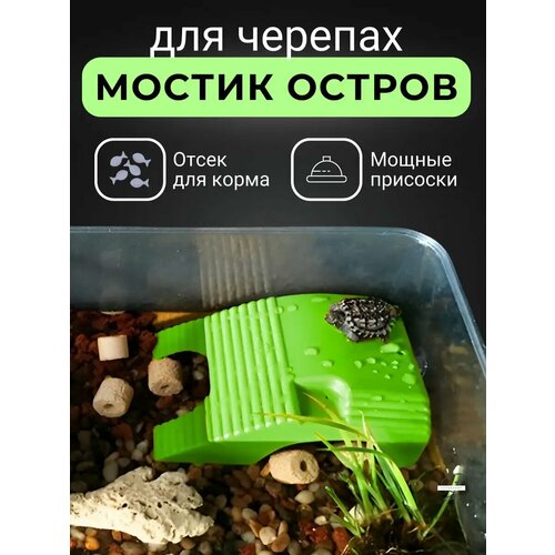 Мостик для черепахи Мост для черепах Плот для черепахи