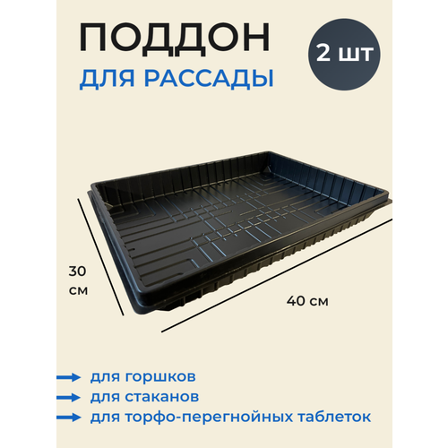 Поддон 400х300 стандарт глубокий 2 шт 370₽