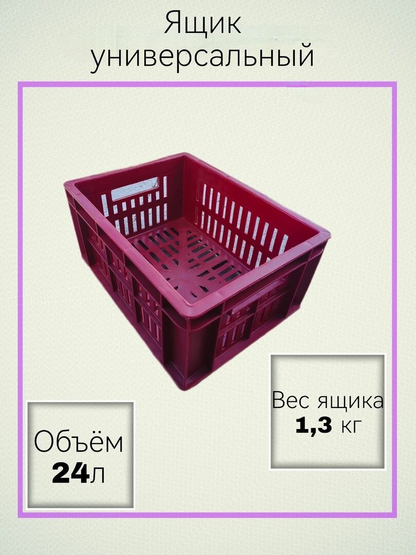 Ящик для хранения. Пластиковый универсальный размером 40х30х20 (красный) хозяйственный под овощи. Для сбора хранения и транспортировки фруктов ягод рассады садового инструмента и инвентаря.