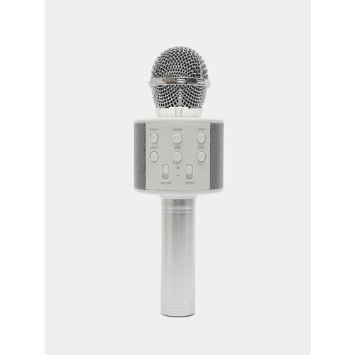 Микрофон ELEKTRO Bluetooth Karaoke детский серебристый